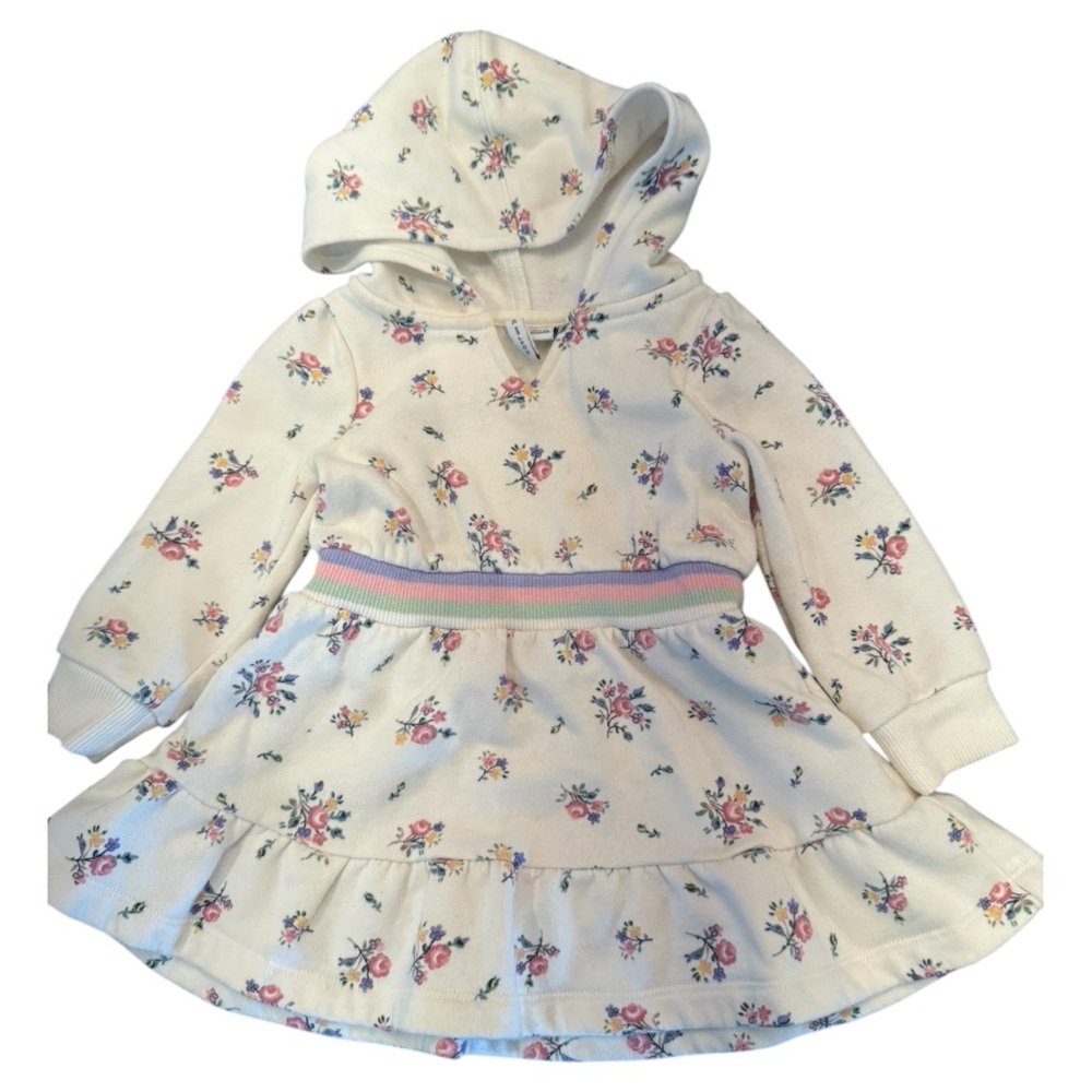 Janie and Jack floral sweatshirt dress in a size 12 to 18 month size.